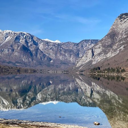 Mountain View In Triglav National Park Apartment Bohinj Bagian luar foto