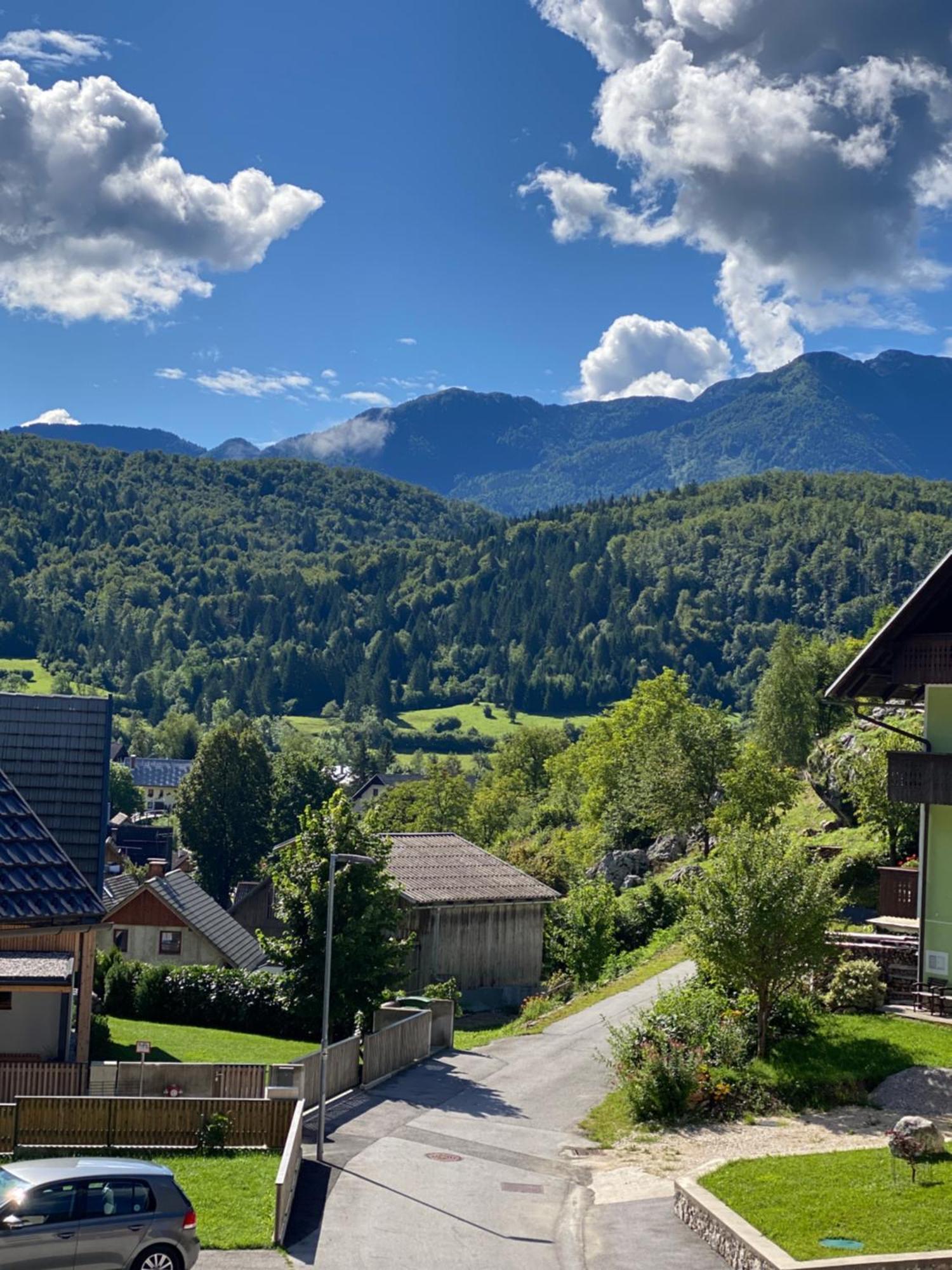 Mountain View In Triglav National Park Apartment Bohinj Bagian luar foto