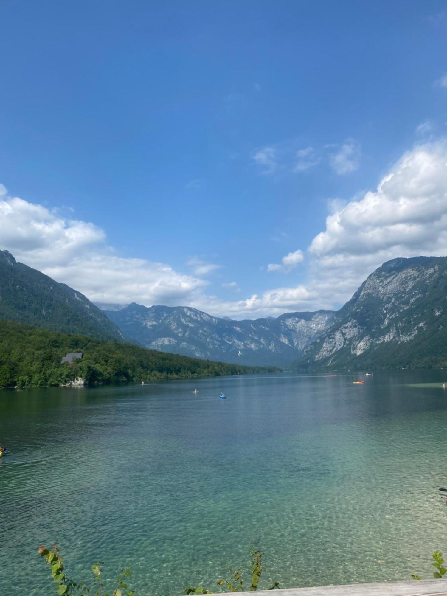 Mountain View In Triglav National Park Apartment Bohinj Bagian luar foto