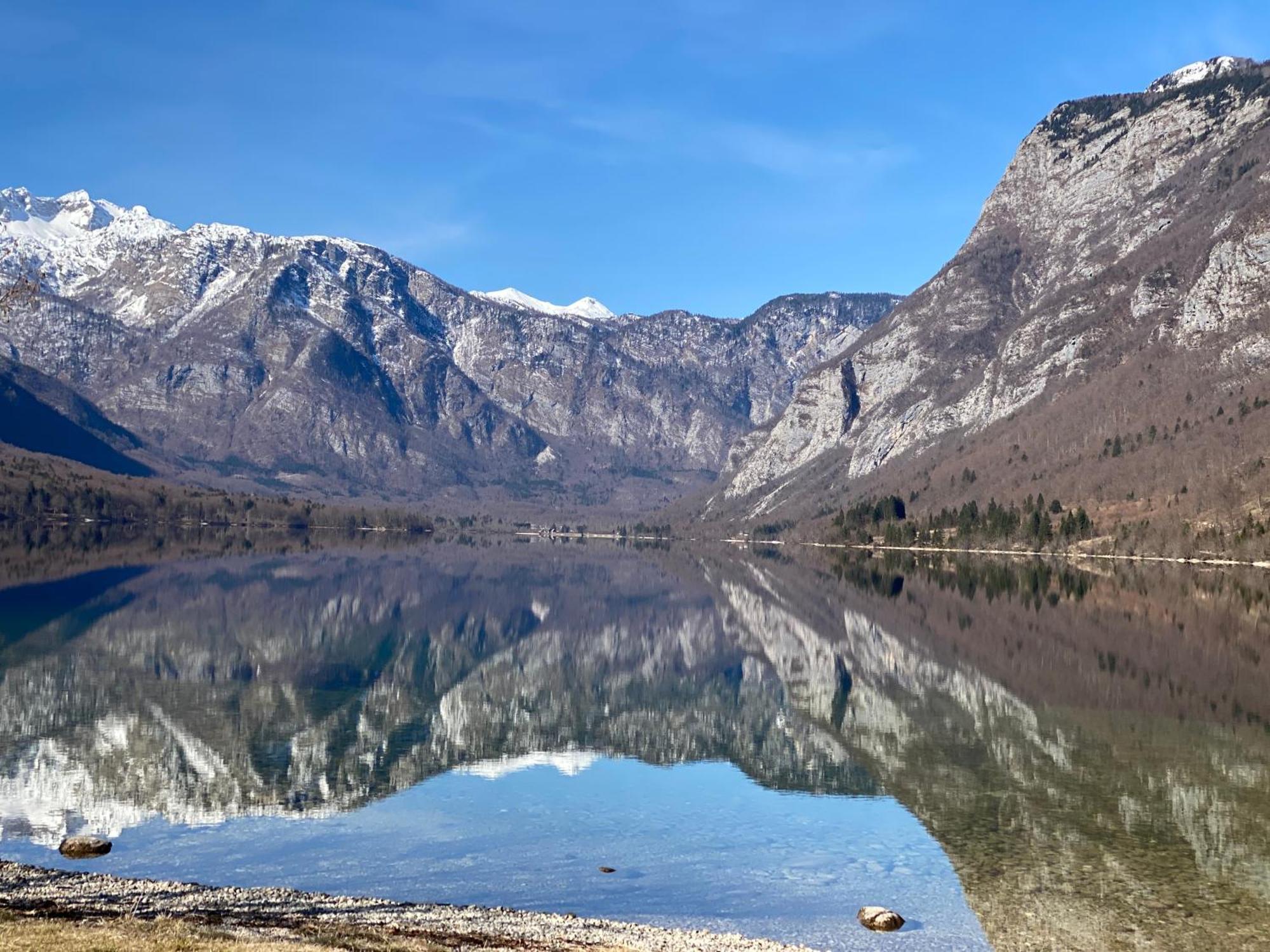 Mountain View In Triglav National Park Apartment Bohinj Bagian luar foto